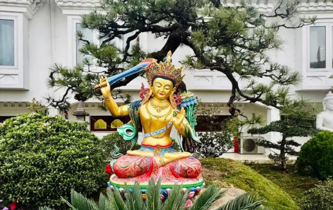Quán Đỉnh Trí Tuệ Văn Thù - Bản dành riêng cho sinh viên và người đi làm